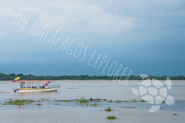 River Guayas, Guayaquil