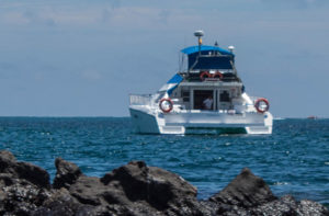 GALÁPAGOS CRUISES HOLIDAY